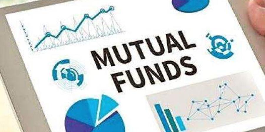 What are direct and regular mutual fund plans?