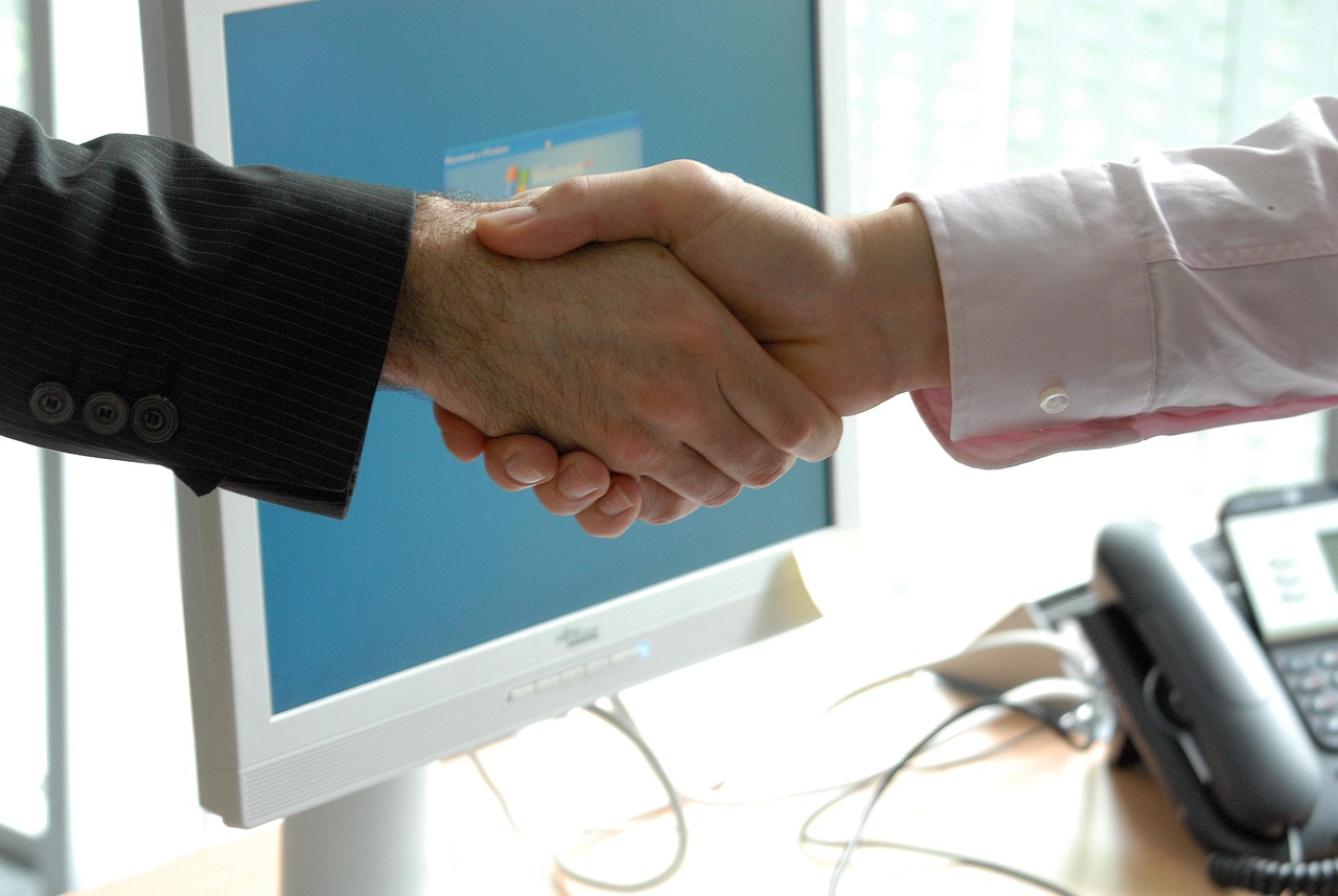 Hand shake, business, professional — Divertirsi con BalloniX per esperti analisi approfondita